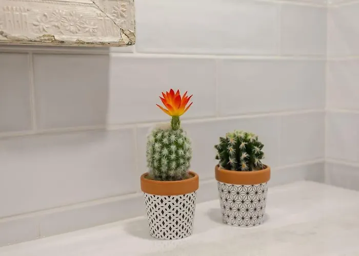 House Of Sirri Ханья